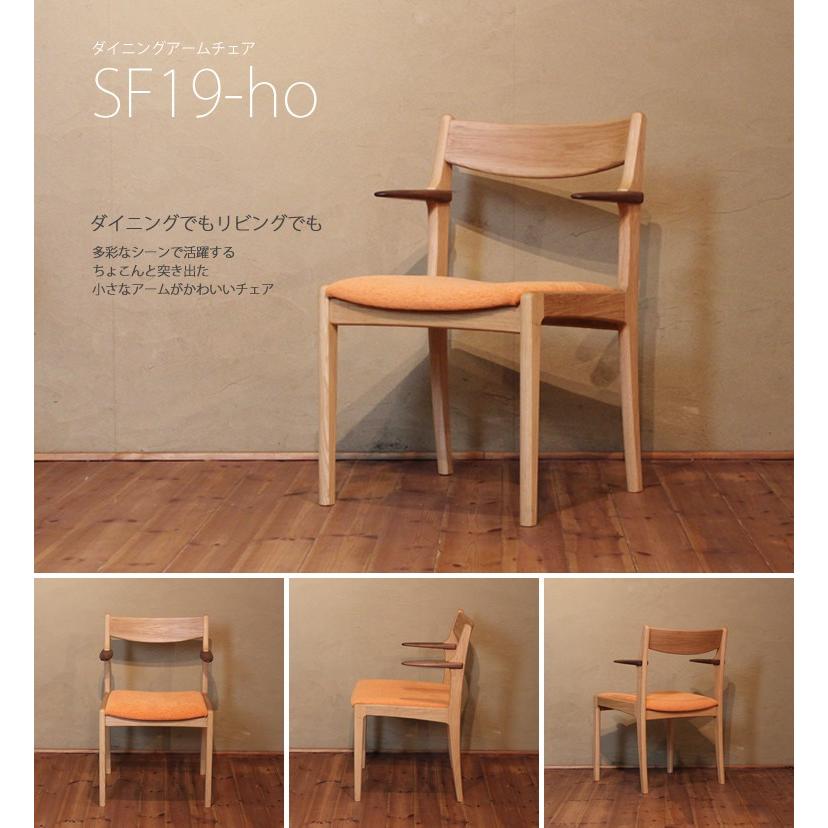 リビングチェア イージーチェア 肘掛椅子 安楽椅子 両肘付 木製