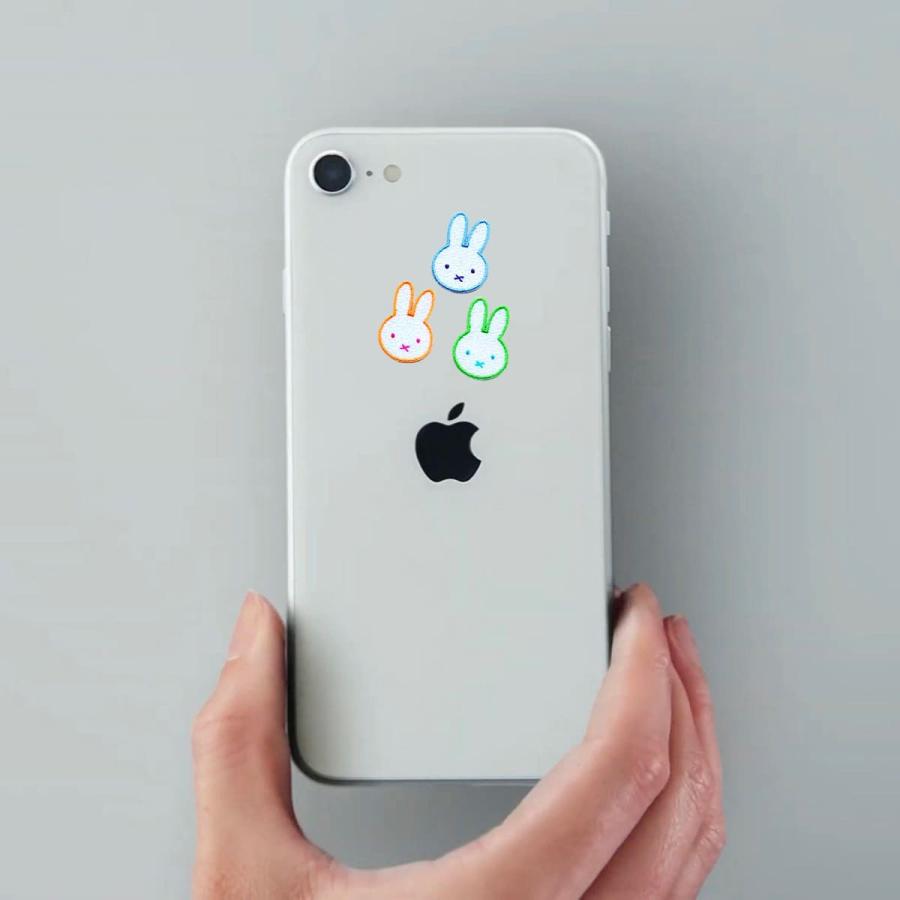 ディノ ワッペン セット 71k2bCvRW-L._UF350,350_QL50_.jpg