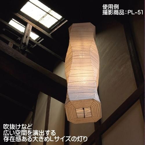 吊り下げ照明 吹抜け 天井照明 ペンダントライト Lサイズ 2灯式 吊り下げ照明 吹抜け 天井照明 ペンダントライト Lサイズ 2灯式