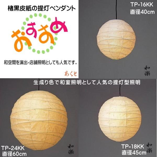 和室照明 和風店舗照明 ペンダントライト2灯式 和風 和室 天井照明 吊