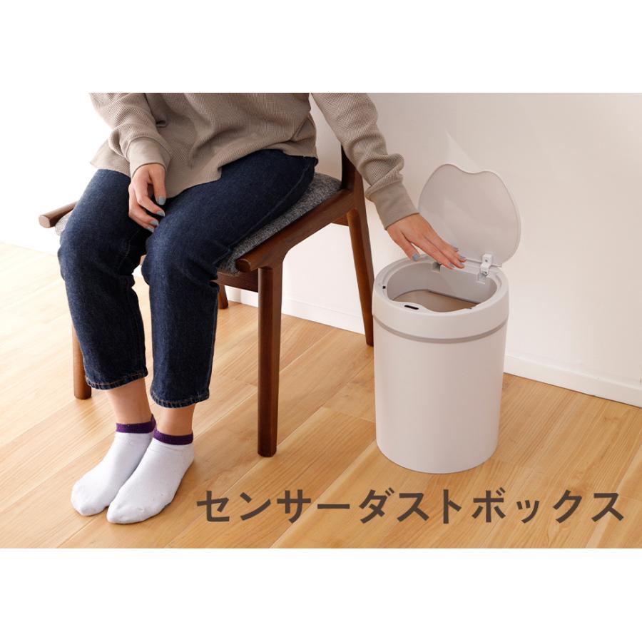 不二貿易（Fuji Boeki） センサーダストボックス ごみ箱 ゴミ箱 自動