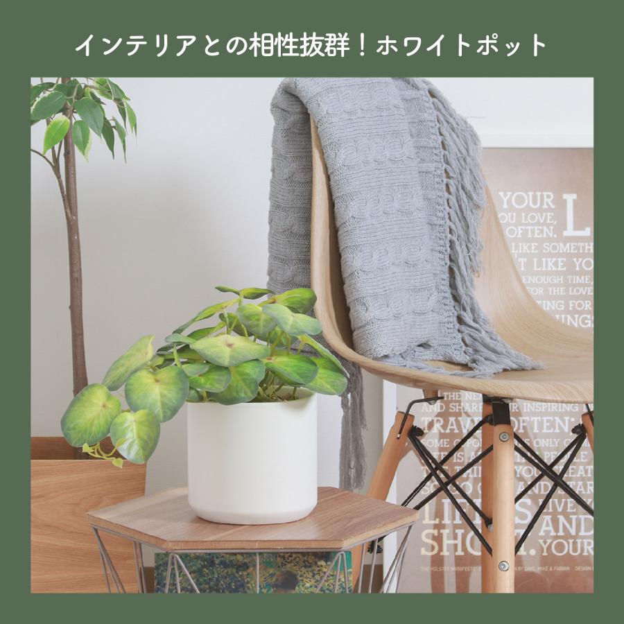 人工観葉植物 ステンレスポット付き Amazon｜フェイクグリーン 卓上 ミニ おしゃれ CT触媒 消臭 グリーン