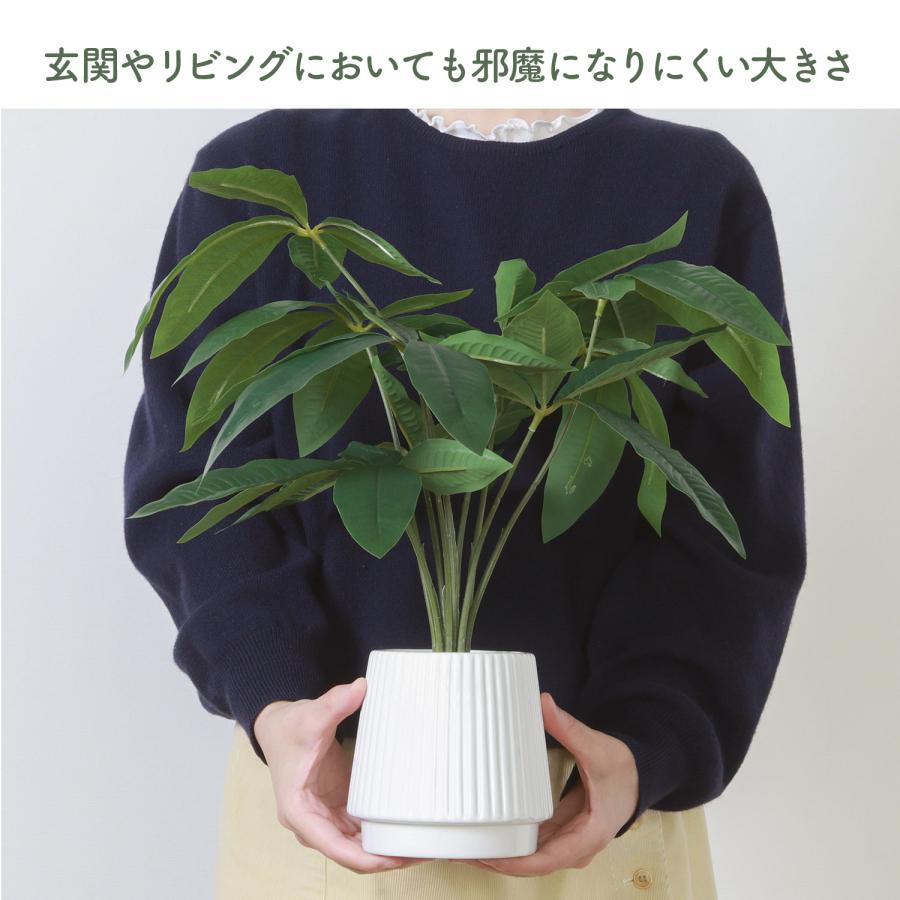 不二貿易（Fuji Boeki） フェイクグリーン パキラ セラミックポット
