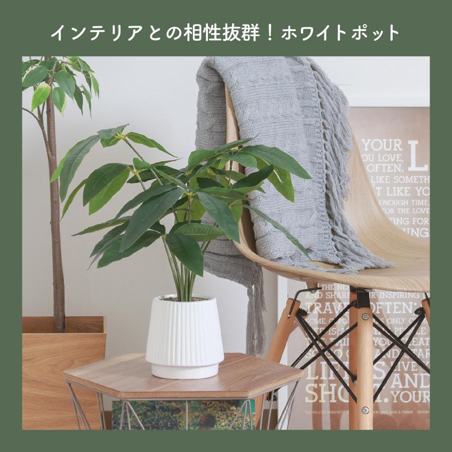 不二貿易（Fuji Boeki） フェイクグリーン パキラ セラミックポット
