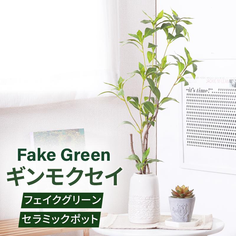 不二貿易（Fuji Boeki） フェイクグリーン ギンモクセイ セラミック