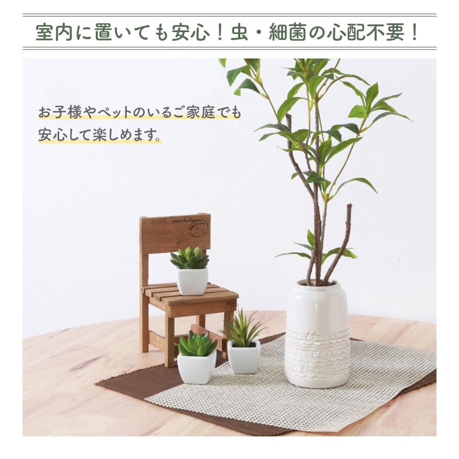 不二貿易（Fuji Boeki） フェイクグリーン ギンモクセイ セラミック