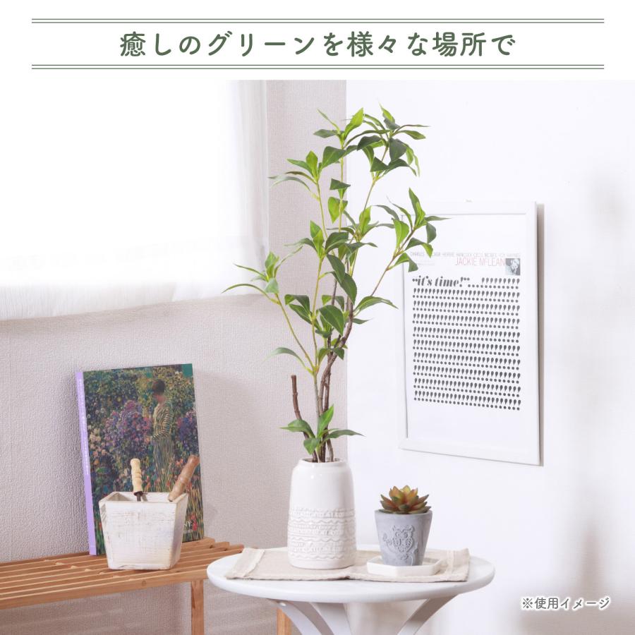 不二貿易（Fuji Boeki） フェイクグリーン ギンモクセイ セラミック