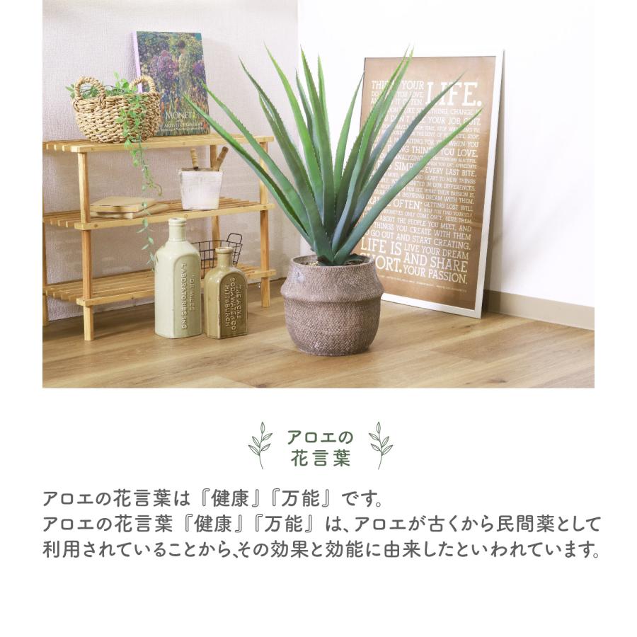 フェイクグリーン アロエM セメントポット グリーンライフ 室内ガーデン 観葉植物 人工植物 水やり不要 手入れ簡単 リラックス空間 置き型タイプ｜waraku-neiro｜04