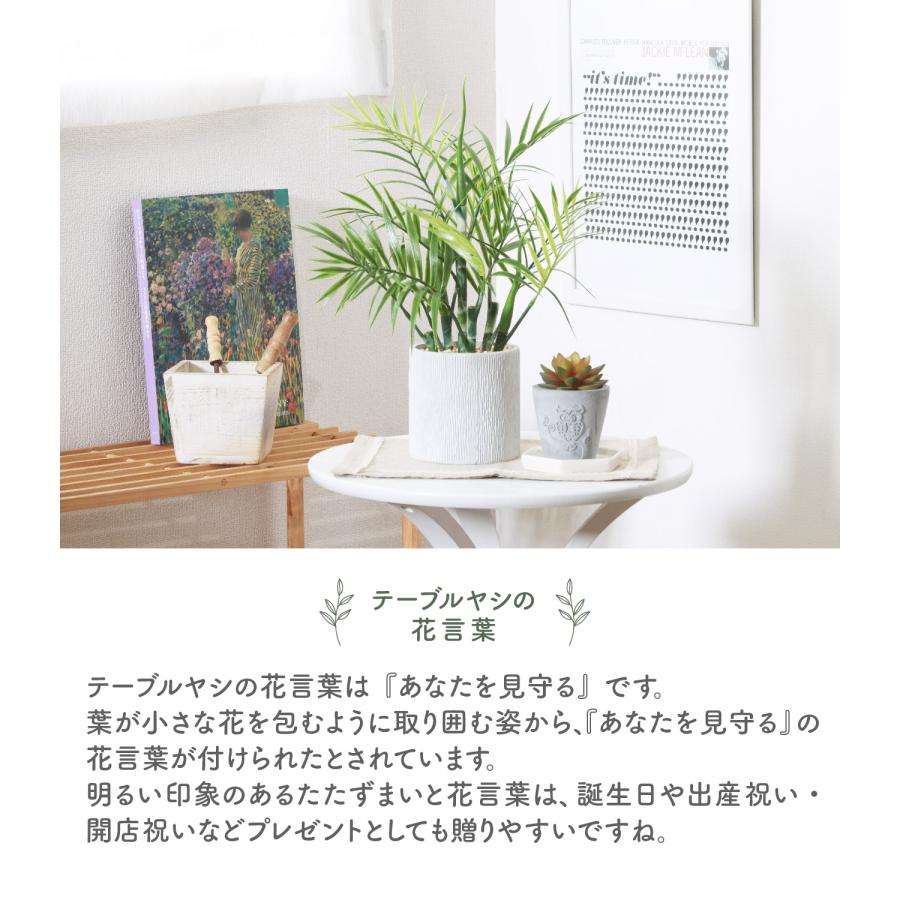 不二貿易（Fuji Boeki） フェイクグリーン テーブルヤシ ペーパー