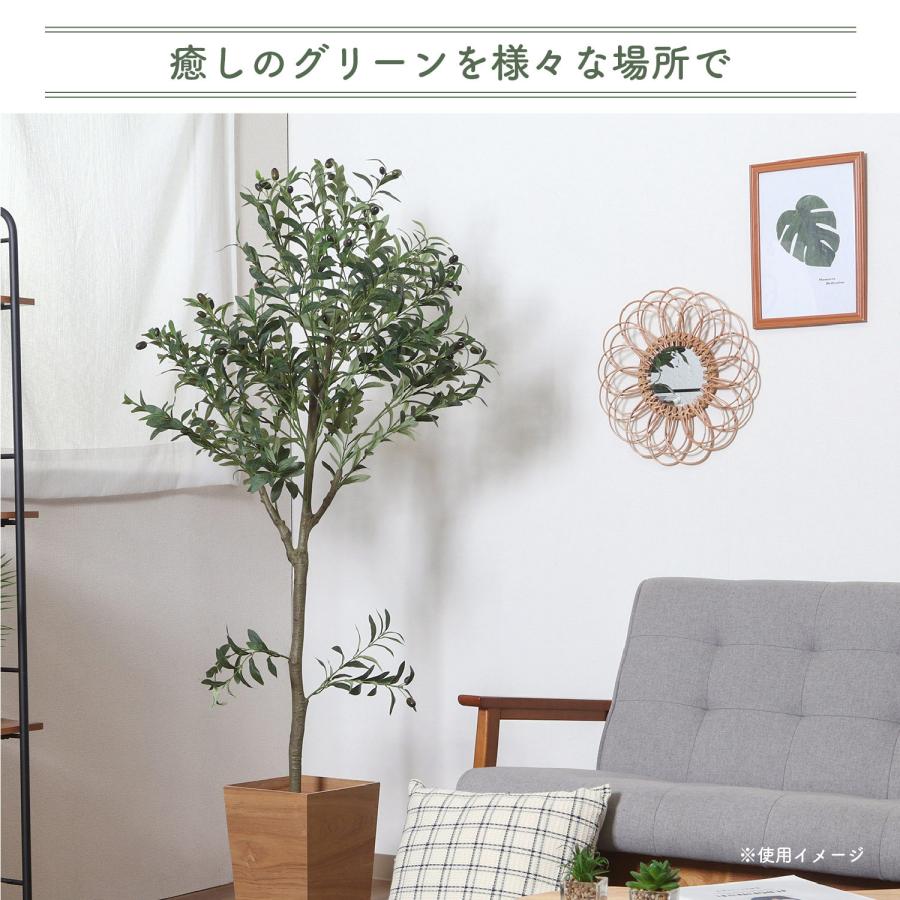 不二貿易（Fuji Boeki） フェイクグリーン オリーブ 150cm ジョイント