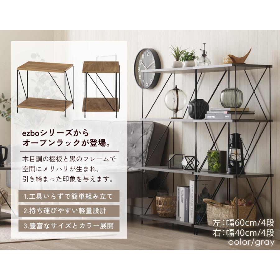 不二貿易（Fuji Boeki） ezbo イジボ ラック ワイヤーラック 幅40cm 2