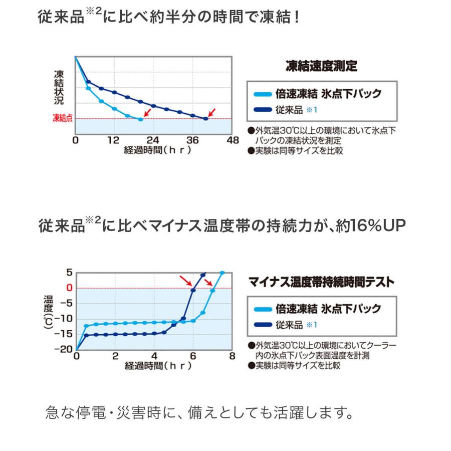 氷点下パック 保冷剤 ロゴス LOGOS アウトドア クーラーボックス XL 倍速凍結 大型 GT−16℃ キャンプ 3個セット｜waraku-neiro｜05