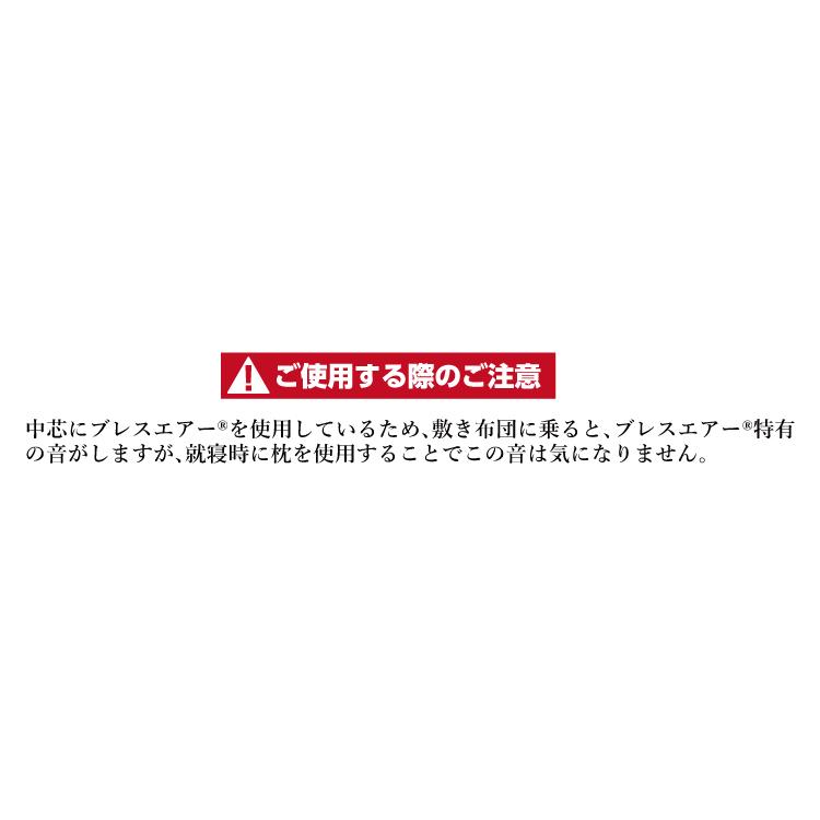 【お買得品】ブレスエアー 完全着脱式 敷き布団 家庭用洗濯機で洗える アトピー アレルギー 対策 全開ファスナー シングル 【100×210cm】 日本製｜waraoha｜07