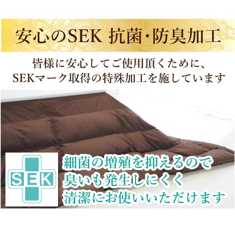 羽毛こたつ布団 ホワイトダウン85％ 長方形：200×250cm : 毎日元気に