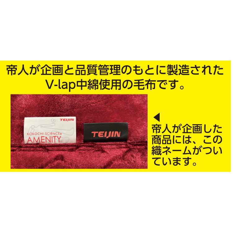 正規品]テイジン V-lap あったか毛布 軽量 シングルサイズ 約140×200cm