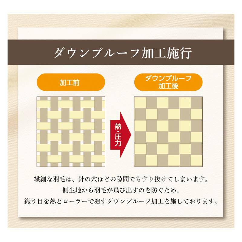 日本製 山甚物産製品 羽毛  エクセル 1.1kg  ホワイトダウン90％ シングル 350dp以上 ロング 【品名:ルッセ】｜waraoha｜10