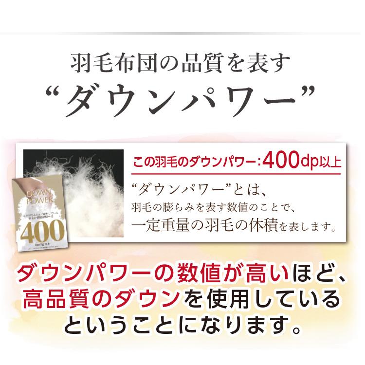 日本製 山甚物産 フランス産 羽毛 ロイヤル 1.2kg ホワイトダウン93％ 超長綿 60サテン二層キルト【品名:プラスル】証書同梱｜waraoha｜07