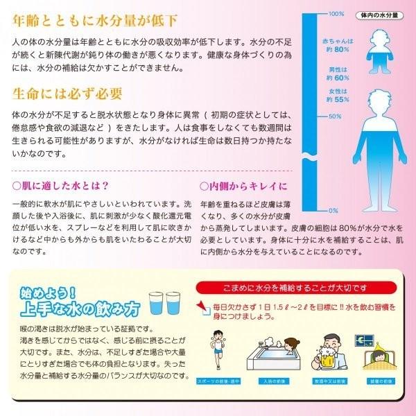 全国送料無料】水素珪素天然水【VanaH】 500ml×24本入り【メーカー直送