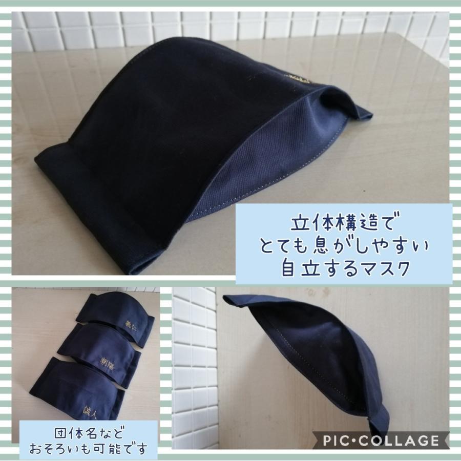 パステルカラー追加　剣道　息や発声がしやすい　稽古に　面マスク　素振り　感染症対策に　飛散防止　Lサイズ |  | 01