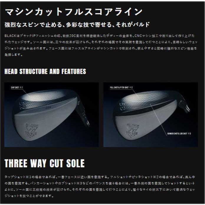 BALDO（バルド） BALDO TT FORGED WEDGE PROTO BLACK プロト シルバー 