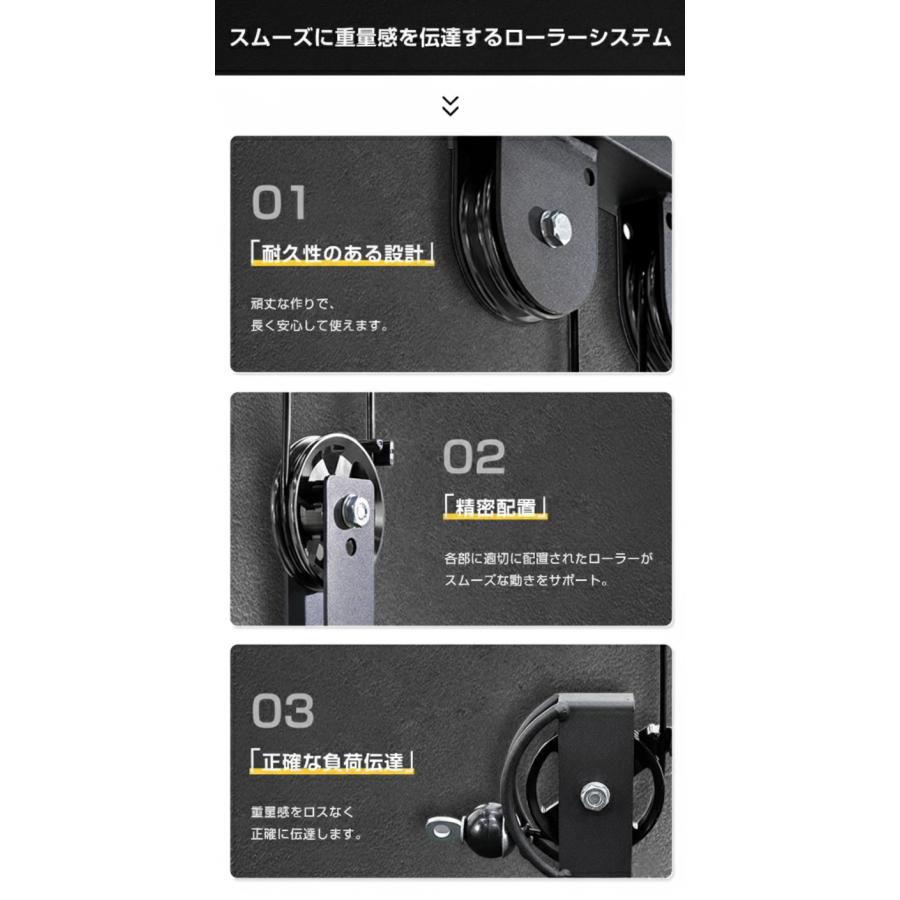 WASAI(ワサイ) ZY5022専用オプション ラットプルダウン ラットタワー