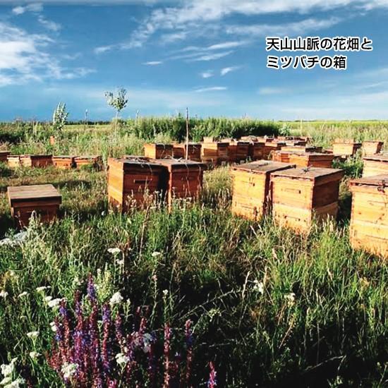 森羅万象 天山蜂蜜(600g） |  | 01