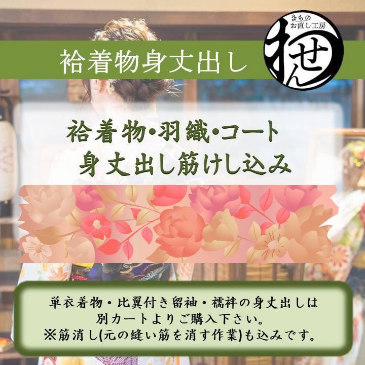 袷着物他身丈だし（筋けし代込み） | 