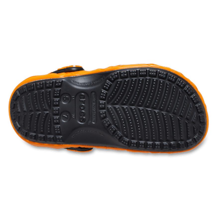 crocs（クロックス） ポケモン 大人 リザードン カメックス