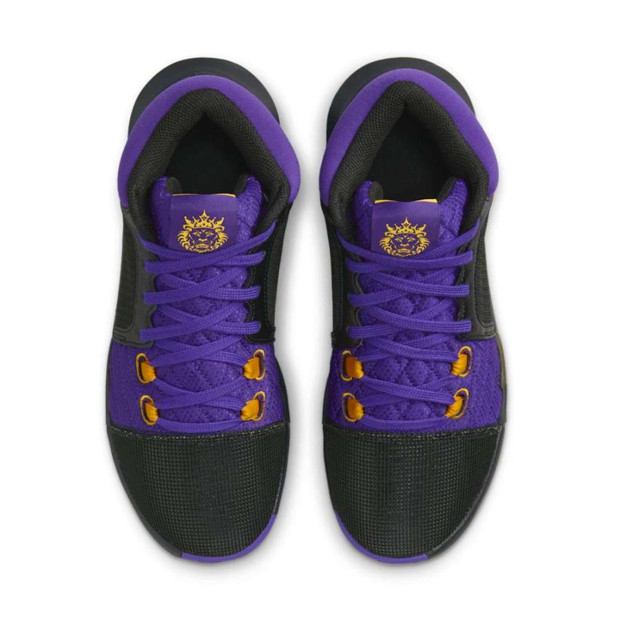 NIKE（ナイキ） レブロン ウィットネス VIII EP ブラック