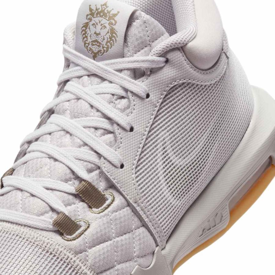 NIKE（ナイキ） レブロン ウィットネス VIII EP ライトアイアンオール