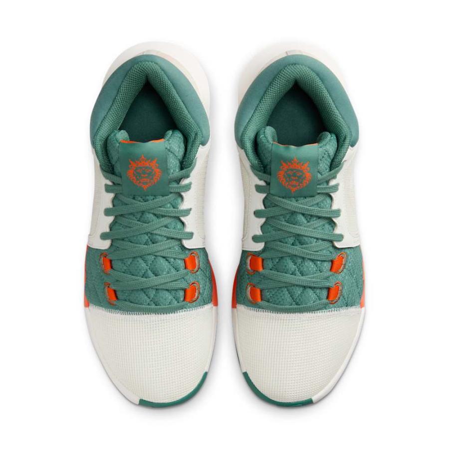 NIKE（ナイキ） レブロン ウィットネス VIII EP セイル FB2237-101 30