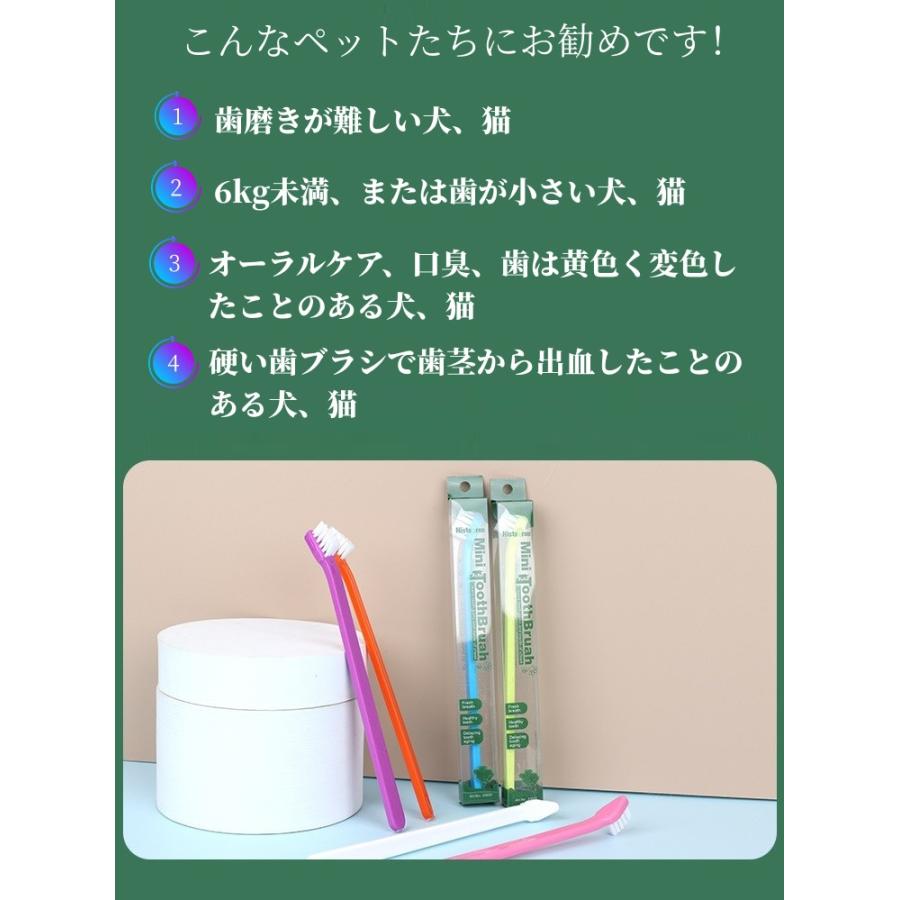 5本セットベット小型犬猫向け 柔らかい歯ブラシ ナイロン柔軟毛使用 歯垢除去 口臭 歯周病予防 愛犬の歯磨きに 猫デンタルケアなど口腔ケア小型設計使いやすい｜washodo｜06