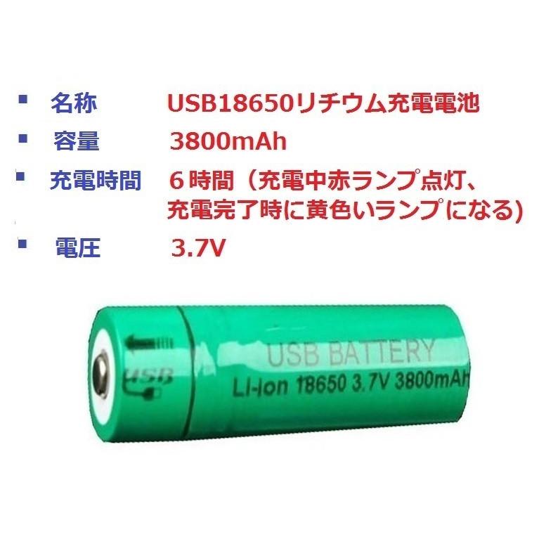 WASHODO」大容量 USB18650 充電電池 3800mAh 送料無料1,800円 USBバッテリー リチウム充電式電池 三ヶ月安心保証付き  2本セット 充電器不要 90日間品質保証付き 乾電池