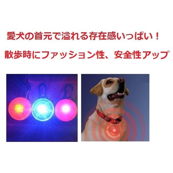 【PETLIFE ペットライフ】カラビナ式 LED セーフティーライト ペット用光るライト 夜間の安全グッズ　4色「901-0001」｜washodo｜05