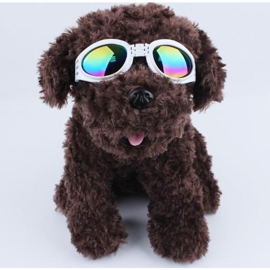 Petlife ペットライフ ペット用 Uvカット サングラス 紫外線対策 車酔い対策 メガネ 犬用ゴーグル 901 0038