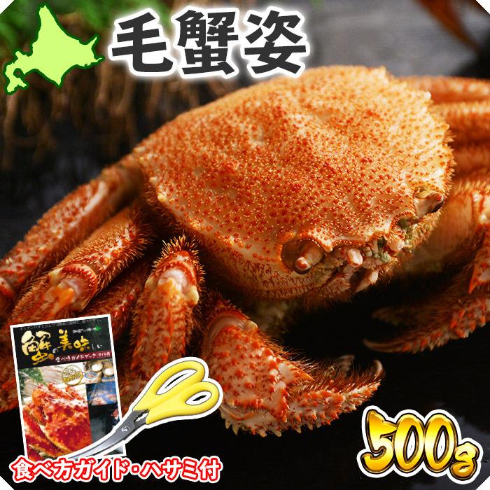 蟹 ギフト カニ ボイル 冷凍 毛蟹 姿500g 北海道 毛ガニ gift かに 姿 母の日 遅れてごめんね 蟹味噌 甲羅 カニ味噌 父の日｜washoku2