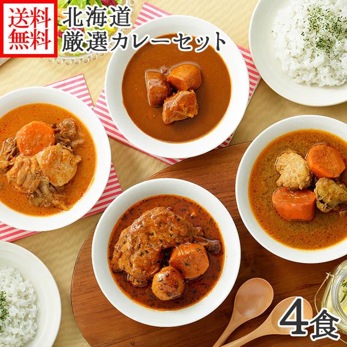 北海道 カレー スープカレー セット 4食(北国チキンレッグ/南家/天竺/ココナッツ)業務用 カレー レトルト 食品 内祝い お返し｜washoku2