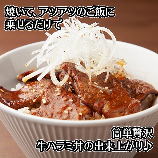 牛ハラミ タレ漬け 1kg 肉 バーベキュー 食材 bbq お肉 ギフト 牛肉 ハラミ はらみ 材料 キャンプ｜washoku2｜04