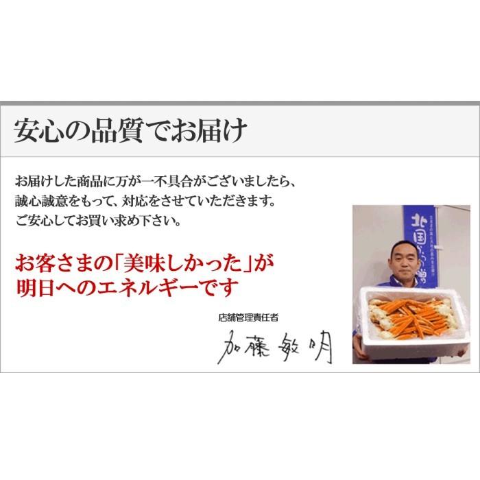 父の日ギフト 夏のオホーツク夕陽カレー2食セット 手焼きナン付(インド料理店クリシュナ)北海道 流氷カリー/流氷カレー/赤いカレー｜washoku2｜08