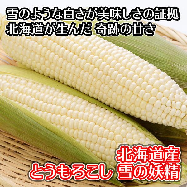 楽天 ホワイトコーン とうもろこし 22本 北海道産 トウモロコシ プレゼント バーベキュー 食材 q 雪の妖精 白い 甘い 北海道 白い トウモロコシ Zigamacss Rw