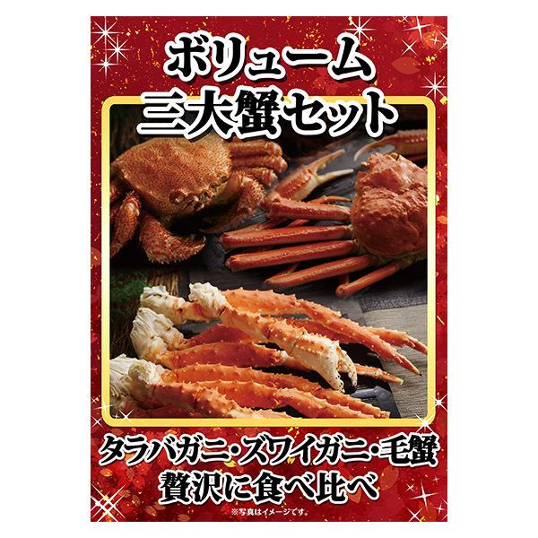 景品セット グルメギフト券(目録)北海道グルメ10点セット 北海道 カニ かに 蟹 タラバガニ ズワイガニ 毛蟹 毛ガニ 和牛 スイーツ｜washoku2｜04