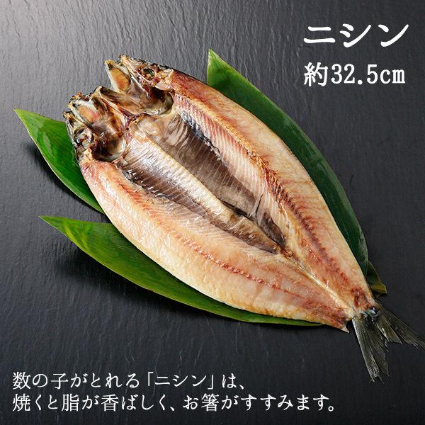 父の日 母の日 干物7点セット 北海道 真ホッケ/カレイ/鰯/コマイ/ニシン/秋刀魚/鮭/干物 海鮮 ギフト｜washoku2｜10