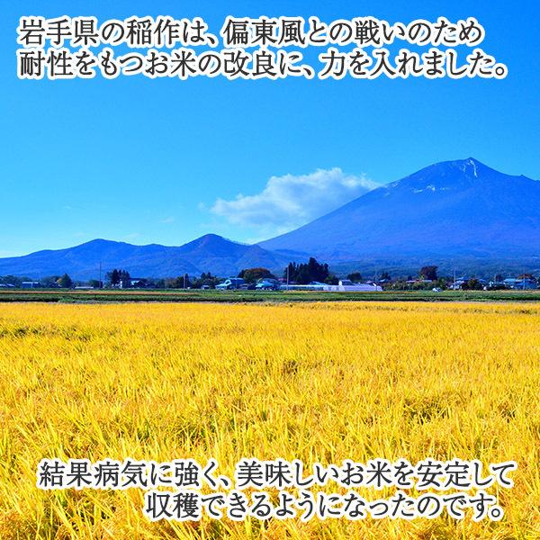 お米 ギフト 食べ比べ 3合x3種 セット 岩手県産 金銀米 詰め合わせ お取り寄せ 食べ物 金色の風 銀河のしずく ひとめぼれ｜washoku2｜03