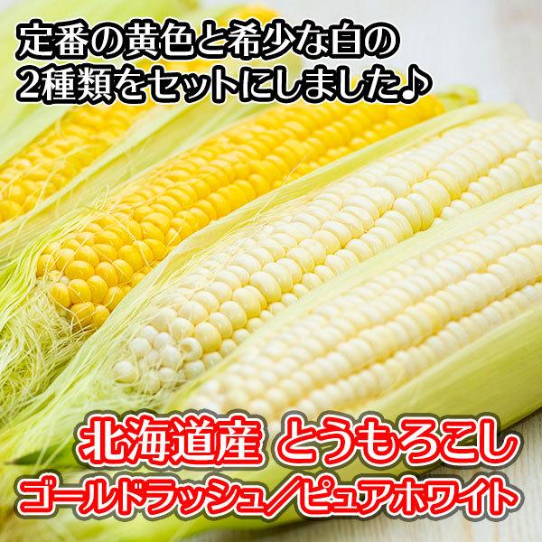 トウモロコシ 食べ比べセット 10本 北海道産 白い とうもろこし 北海道 甘い q バーベキュー ピュアホワイト ホワイトコーン スイートコーン 産直ギフト 北国からの贈り物 通販 Yahoo ショッピング