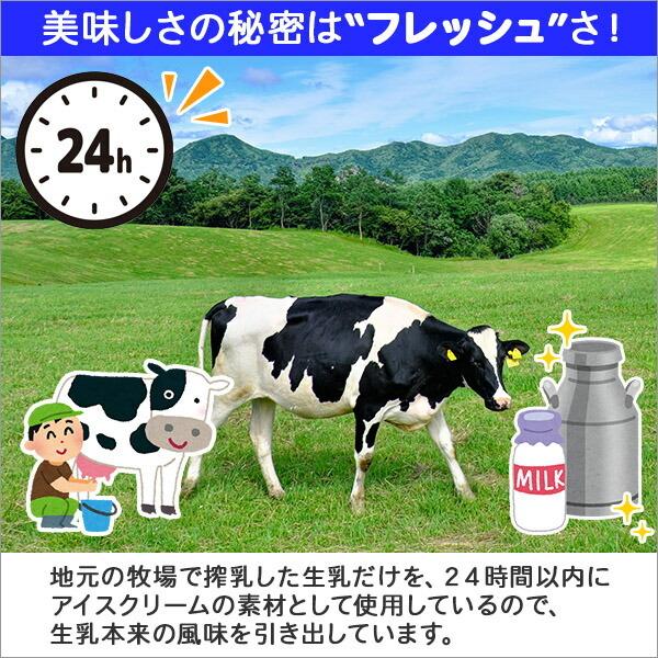 北海道 アイスクリーム ブルーベリー ジェラート 2L 高級 業務用 アイス スイーツ ギフト プレゼント くりーむ童話｜washoku2｜05