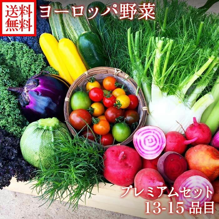 ギフト ヨーロッパ野菜 詰め合わせ デラックス セット 13-15品目 お取り寄せ 珍しい野菜 set