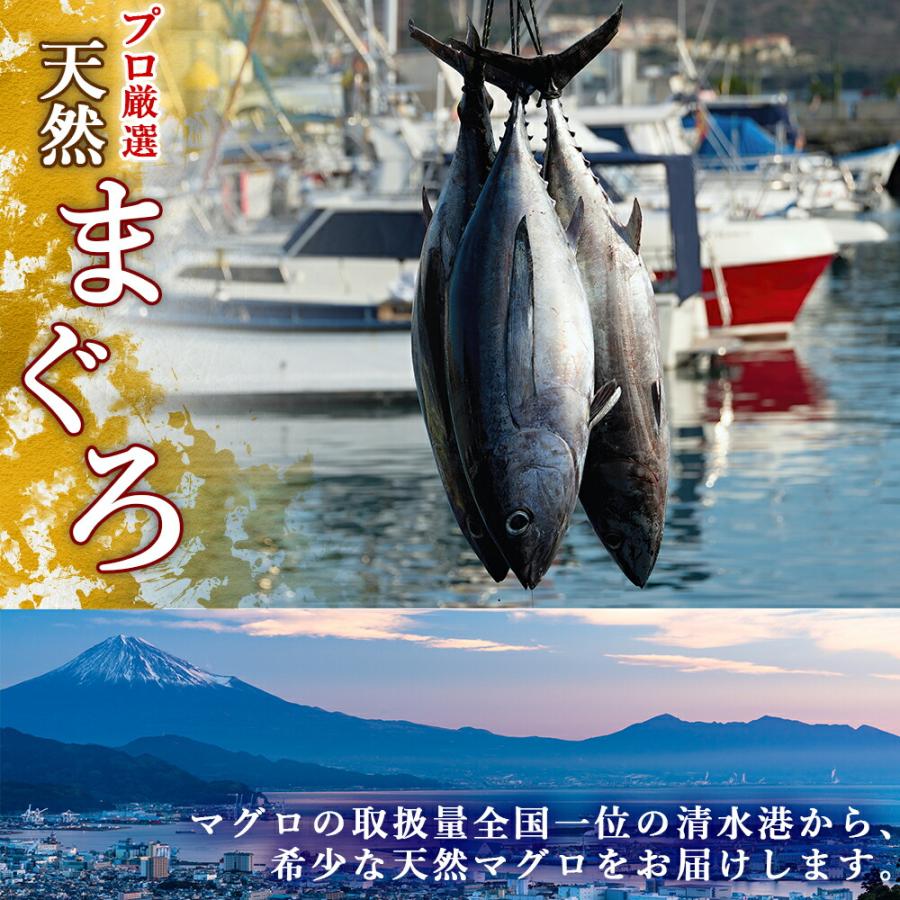 北国からの贈り物 天然ミナミマグロセット ギフト対応可 刺身 マグロ 中トロ 赤身 南鮪 まぐろ : 産直ギフト 北国からの贈り物 - 通販 ...
