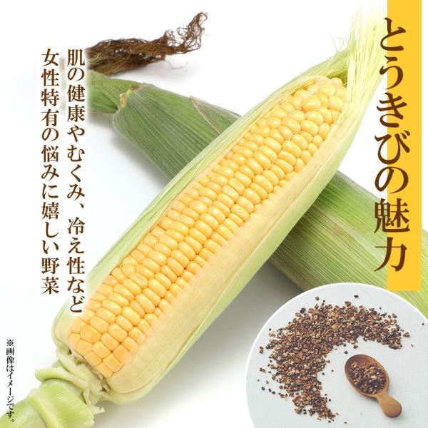 遅れてごめんね 母の日プレゼント とうきび茶 ティーバッグ計15包 お茶 母の日ギフト コーン茶 北海道産 野菜茶 無添加 健康茶 国産 水出し とうもろこし茶｜washoku2｜03