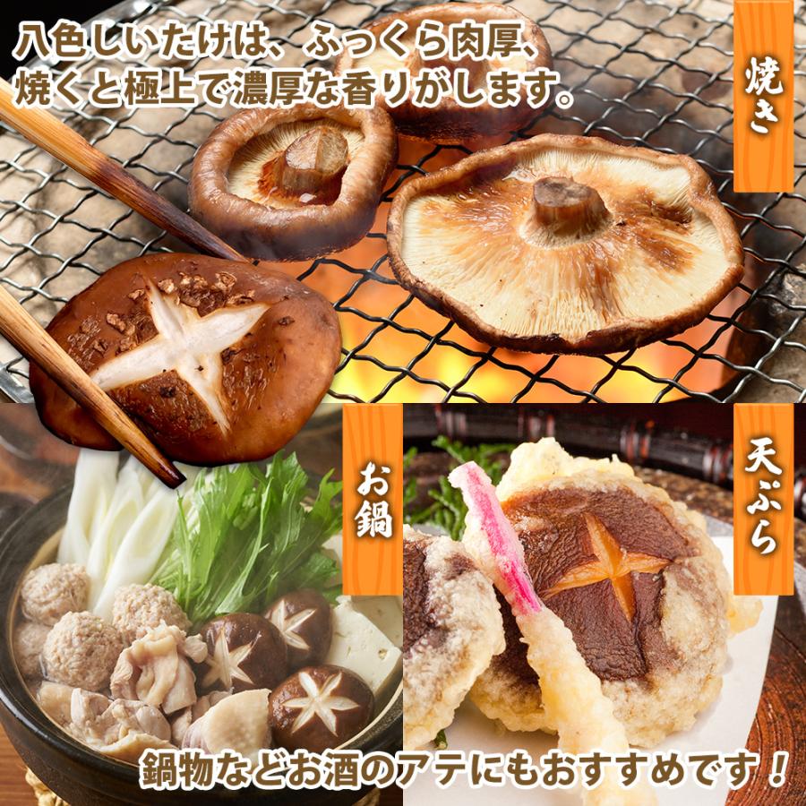 新潟県南魚沼産  干し椎茸1㎏ 南魚沼産コシヒカリ5㎏/ちょいワル椎茸1㎏のセット：新潟県産のお米
