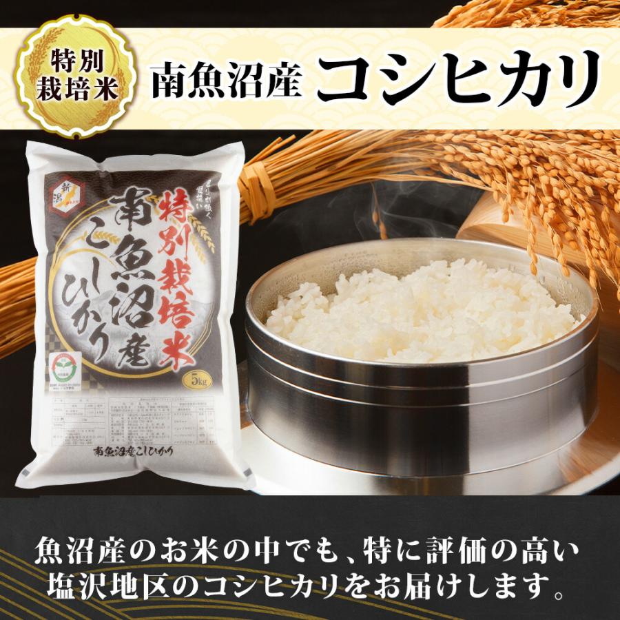 コシヒカリ (令和7年産)南魚沼産 計10kg 特A 特別栽培米 こしひかり 